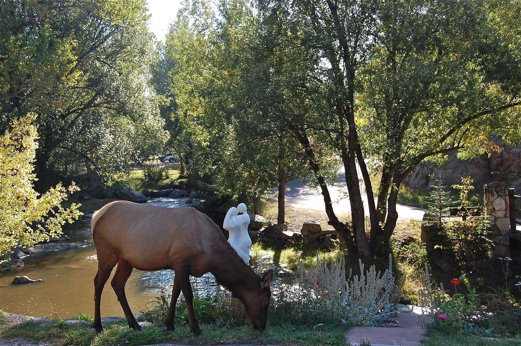 Highland Haven Creekside Inn إيفيرغرين المظهر الخارجي الصورة